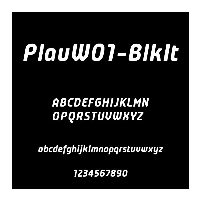 PlauW01-BlkIt