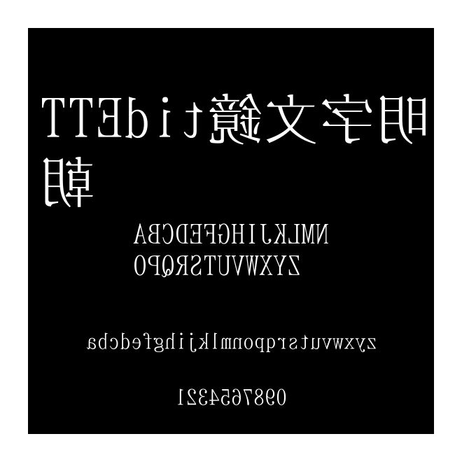 TTEdit鏡文字明朝