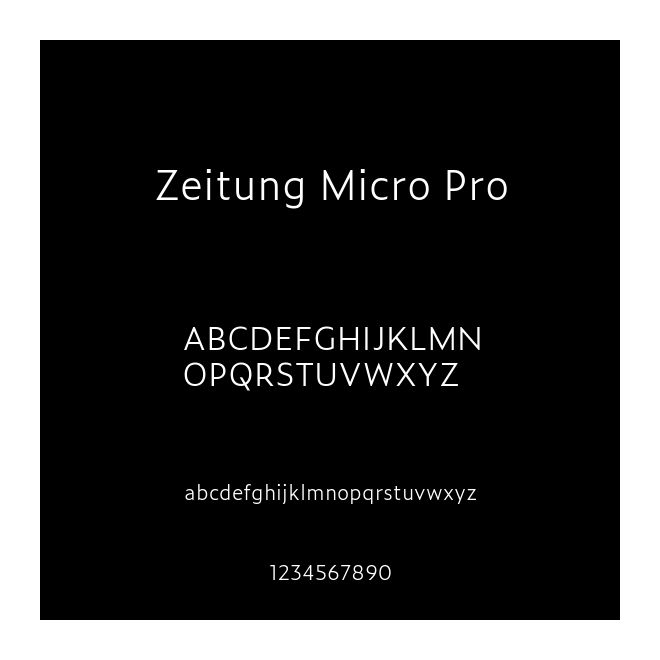 Zeitung Micro Pro