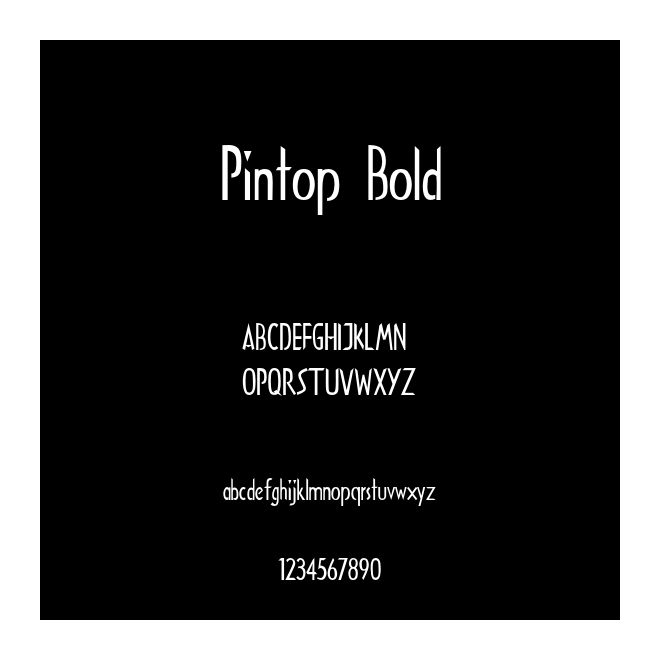 Pintop Bold