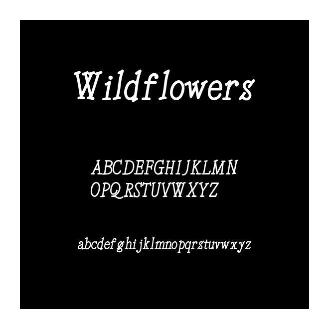 Wildflowers