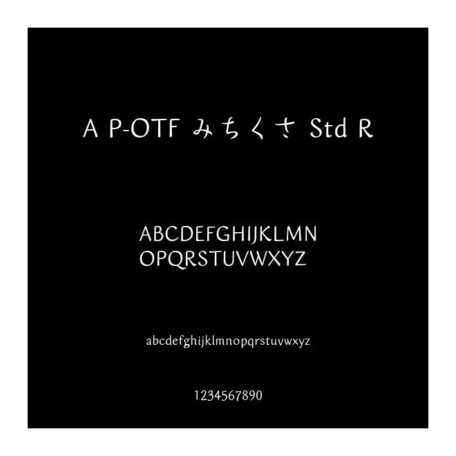 A P-OTF みちくさ Std R