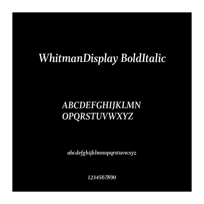 WhitmanDisplay BoldItalic