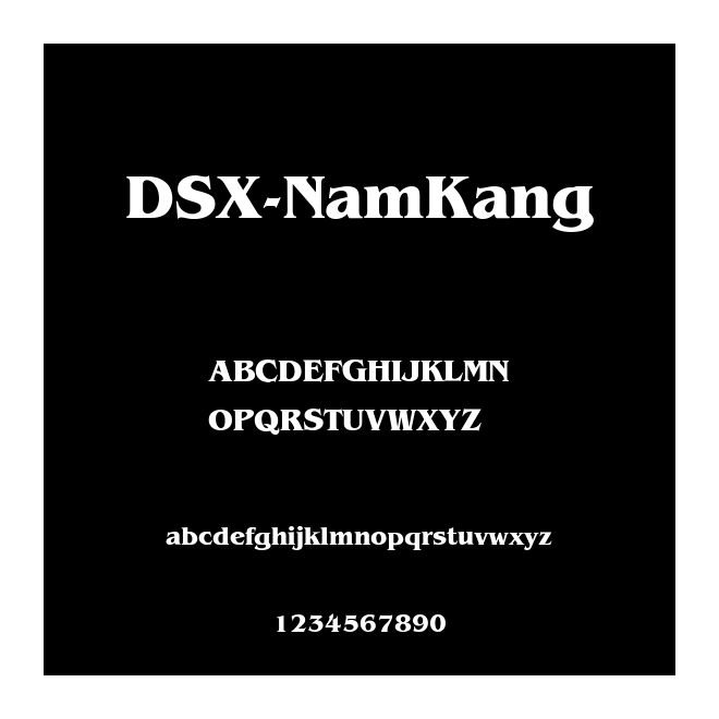 DSX-NamKang