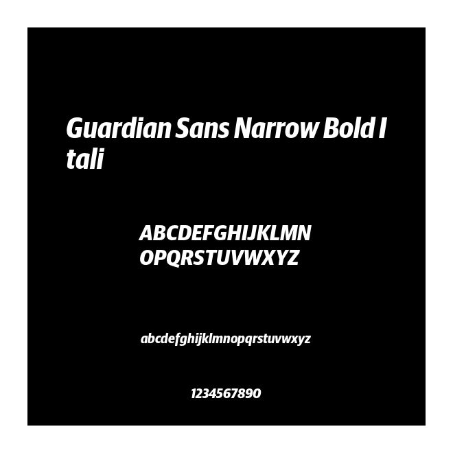 Guardian Sans Narrow Bold Itali