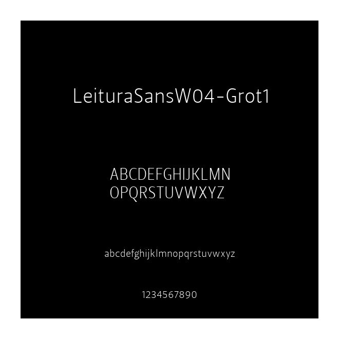 LeituraSansW04-Grot1