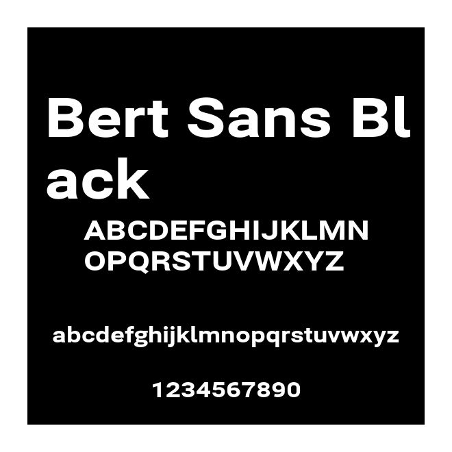 Bert Sans Black