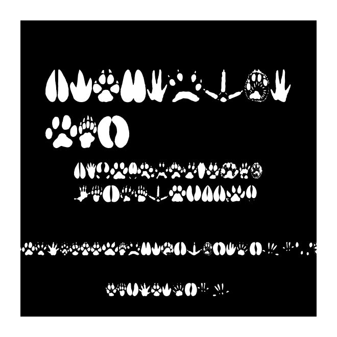 AnimalTracks