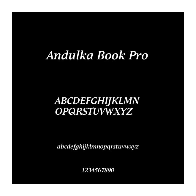 Andulka Book Pro