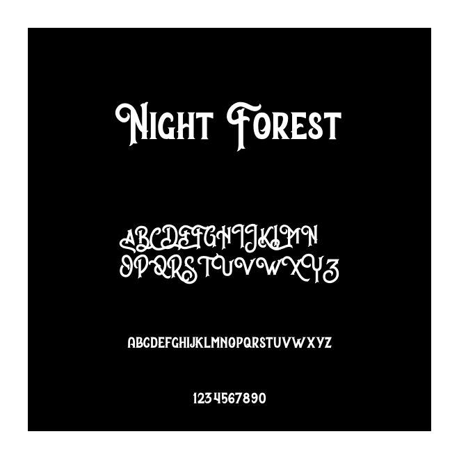Night Forest
