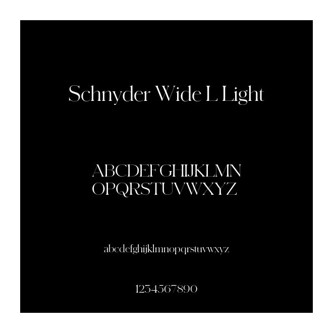 Schnyder Wide L Light