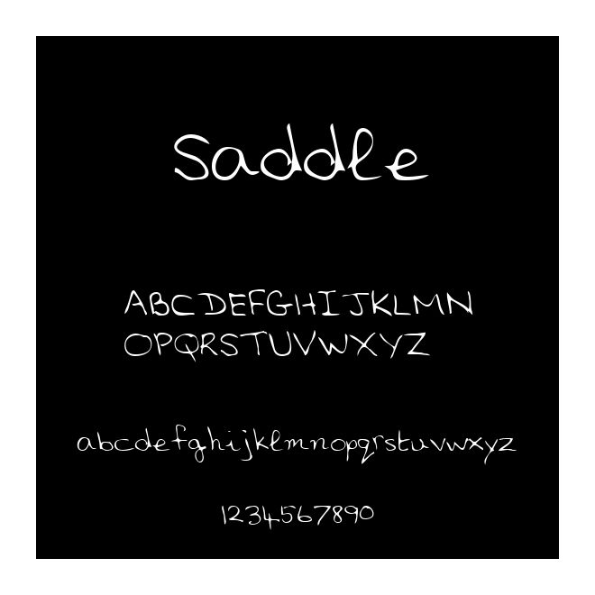 Saddle
