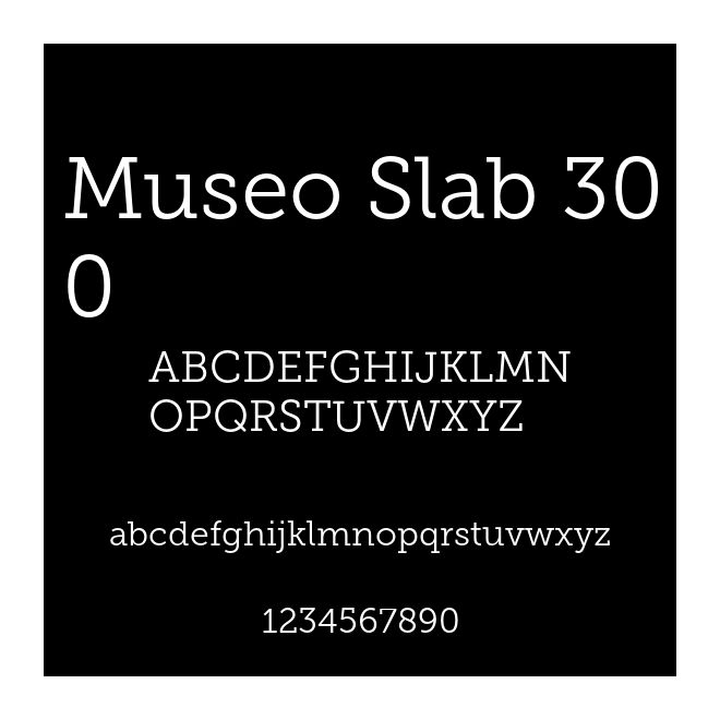 Museo Slab 300