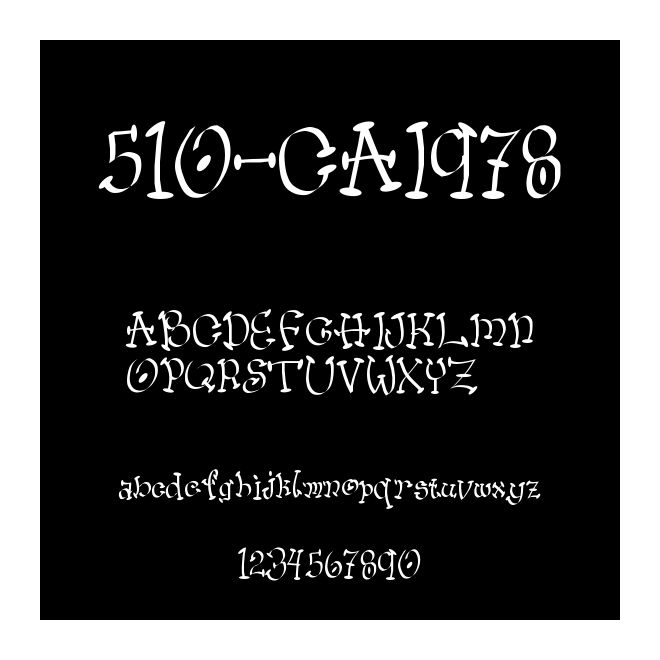 510-CAI978