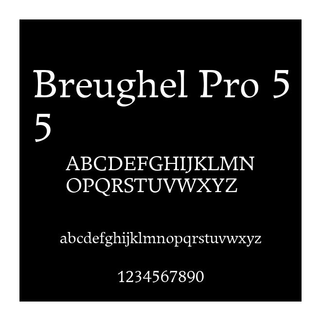 Breughel Pro 55
