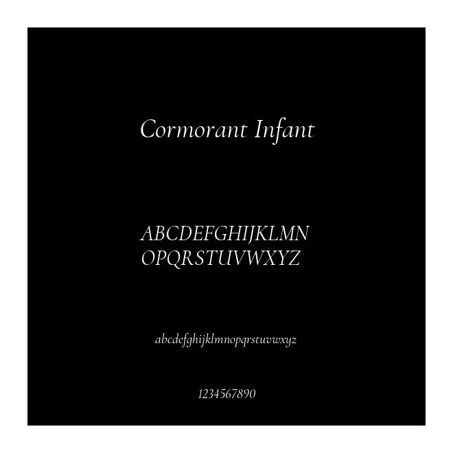 Cormorant Infant