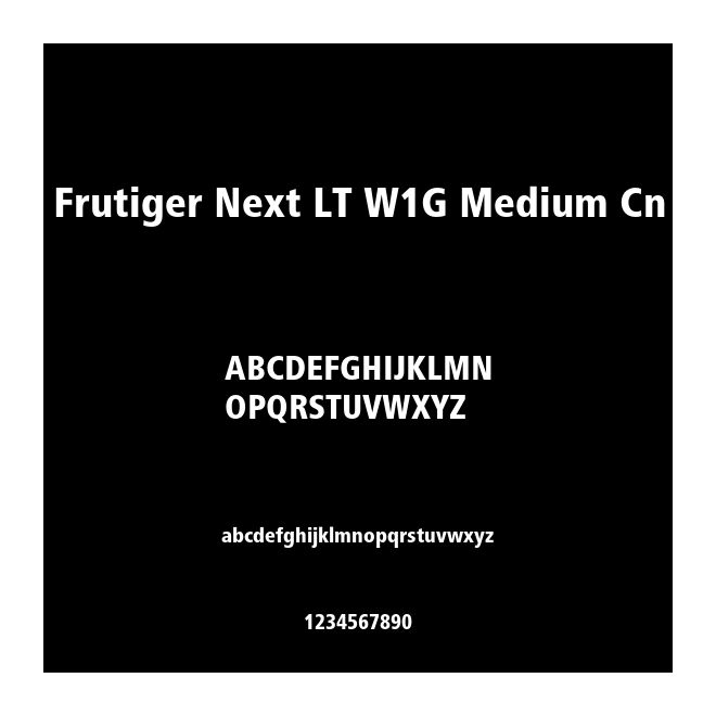 Frutiger Next LT W1G Medium Cn