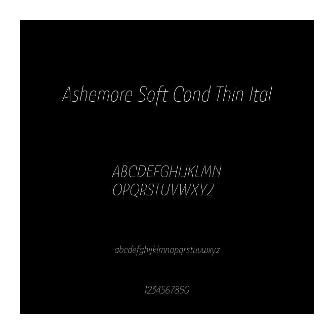Ashemore Soft Cond Thin Ital