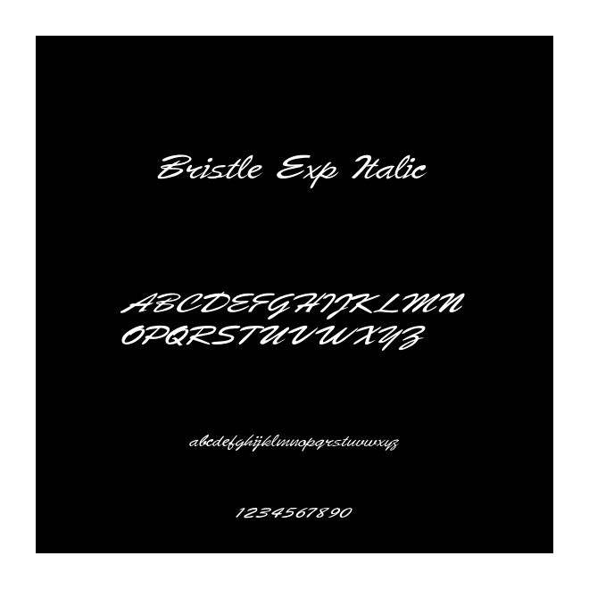 Bristle Exp Italic