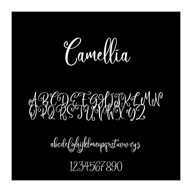 Camellia
