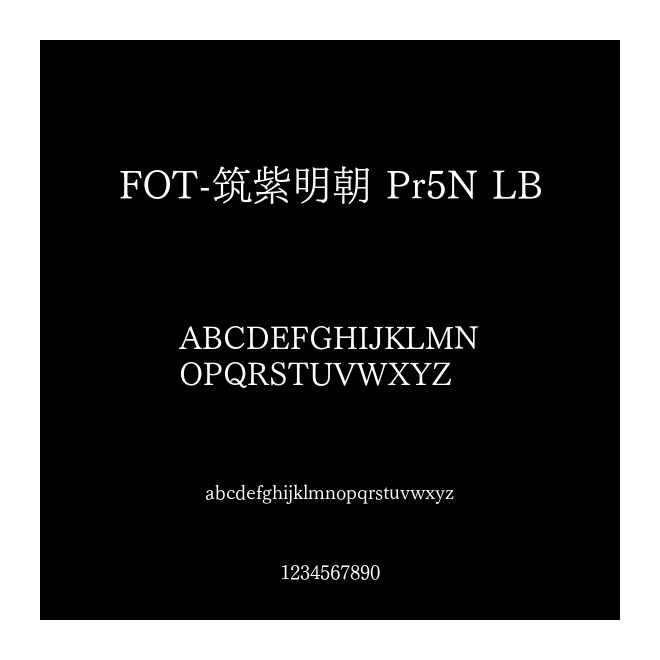 FOT-筑紫明朝 Pr5N LB
