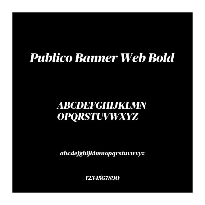 Publico Banner Web Bold