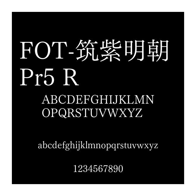FOT-筑紫明朝 Pr5 R