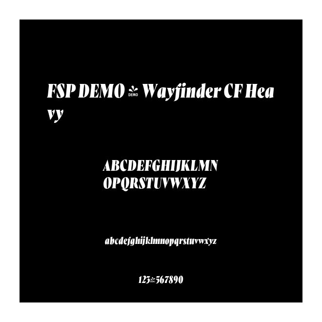 FSP DEMO - Wayfinder CF Heavy