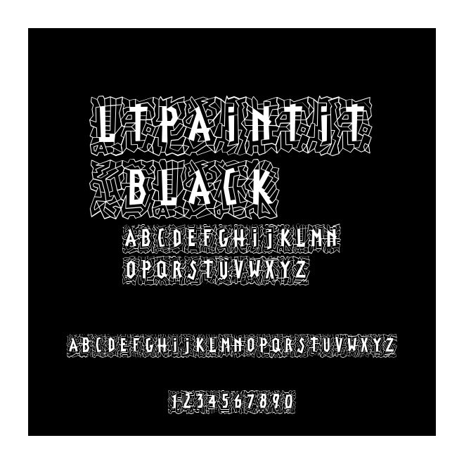 LTPaintIt Black