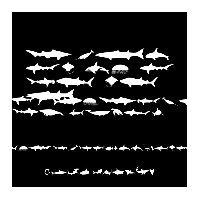 Giants of the Sea