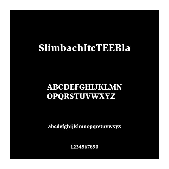 SlimbachItcTEEBla