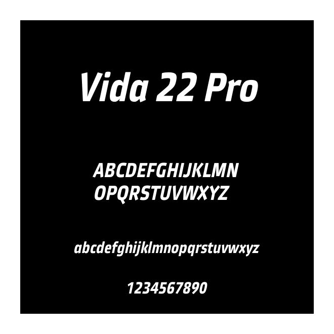 Vida 22 Pro