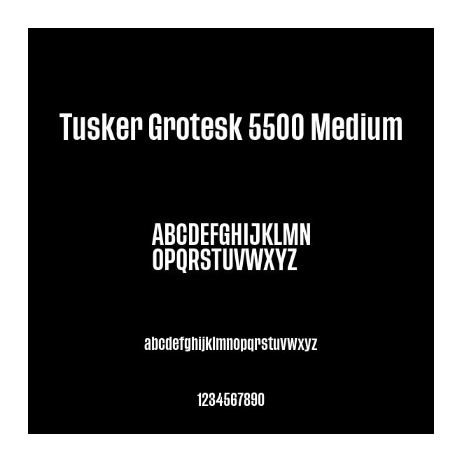 Tusker Grotesk 5500 Medium