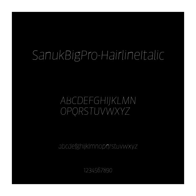 SanukBigPro-HairlineItalic