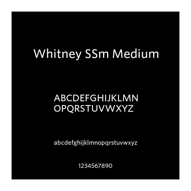 Whitney SSm Medium