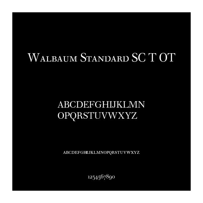 Walbaum Standard SC T OT