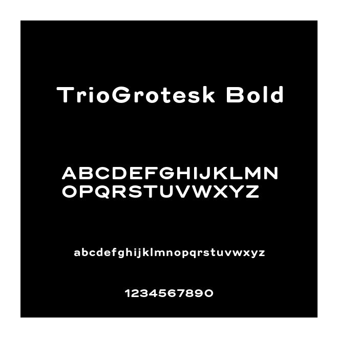 TrioGrotesk Bold