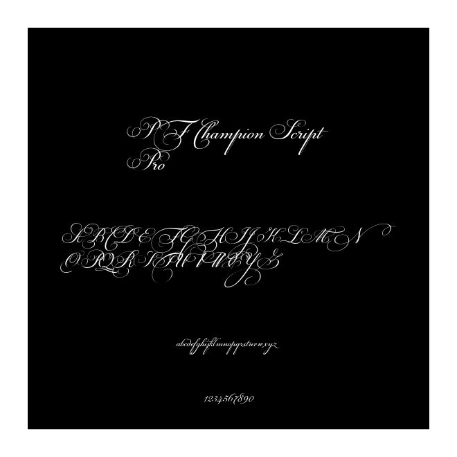 PF Champion Script Pro字体免费下载和在线预览-印图网